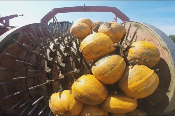 Кракен магазин наркотиков