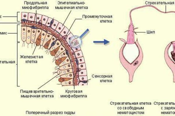 Каталог онион сайтов