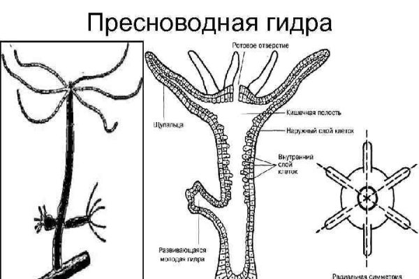 Кракен онион kraken014 com